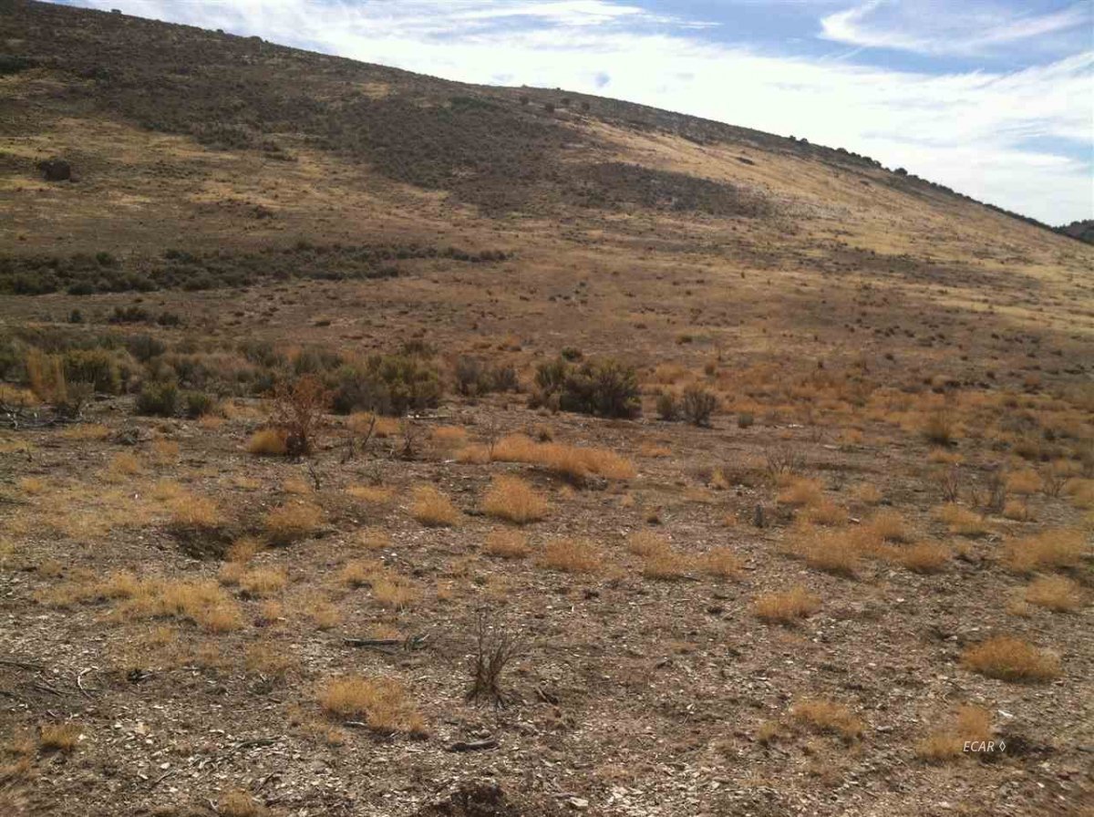 Imlay Ave Spring Creek Spring Creek, NV 89815 - Photo 2 of 4