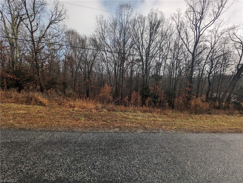 255 Bowers Road Thomasville, NC 27360 - Photo 12 of 12