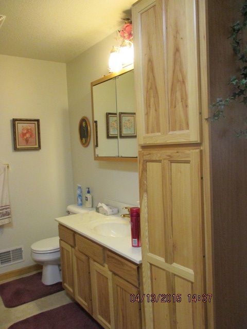 7767 East Mcbride Road Edmore, MI 48829 - Photo 21 of 29 1797533-20.JPG