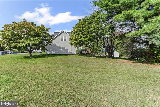 a view of yard with green space
