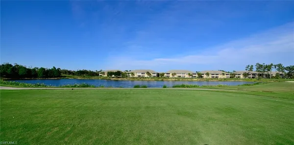 a view of a grassy field with trees