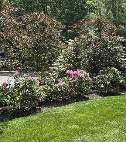 54 Pope Road Acton, MA 01720 - Photo 37 of 42