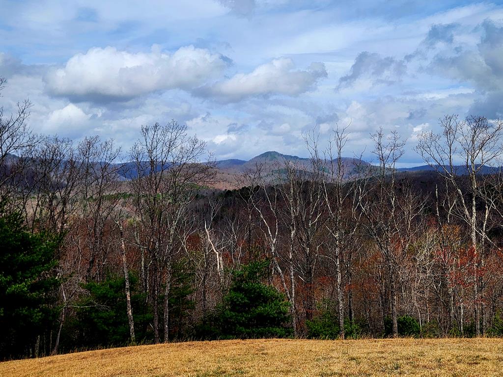Tbd Dobyns Church Road Stuart, VA 24171 - Photo 5 of 13 Gallery Image 5