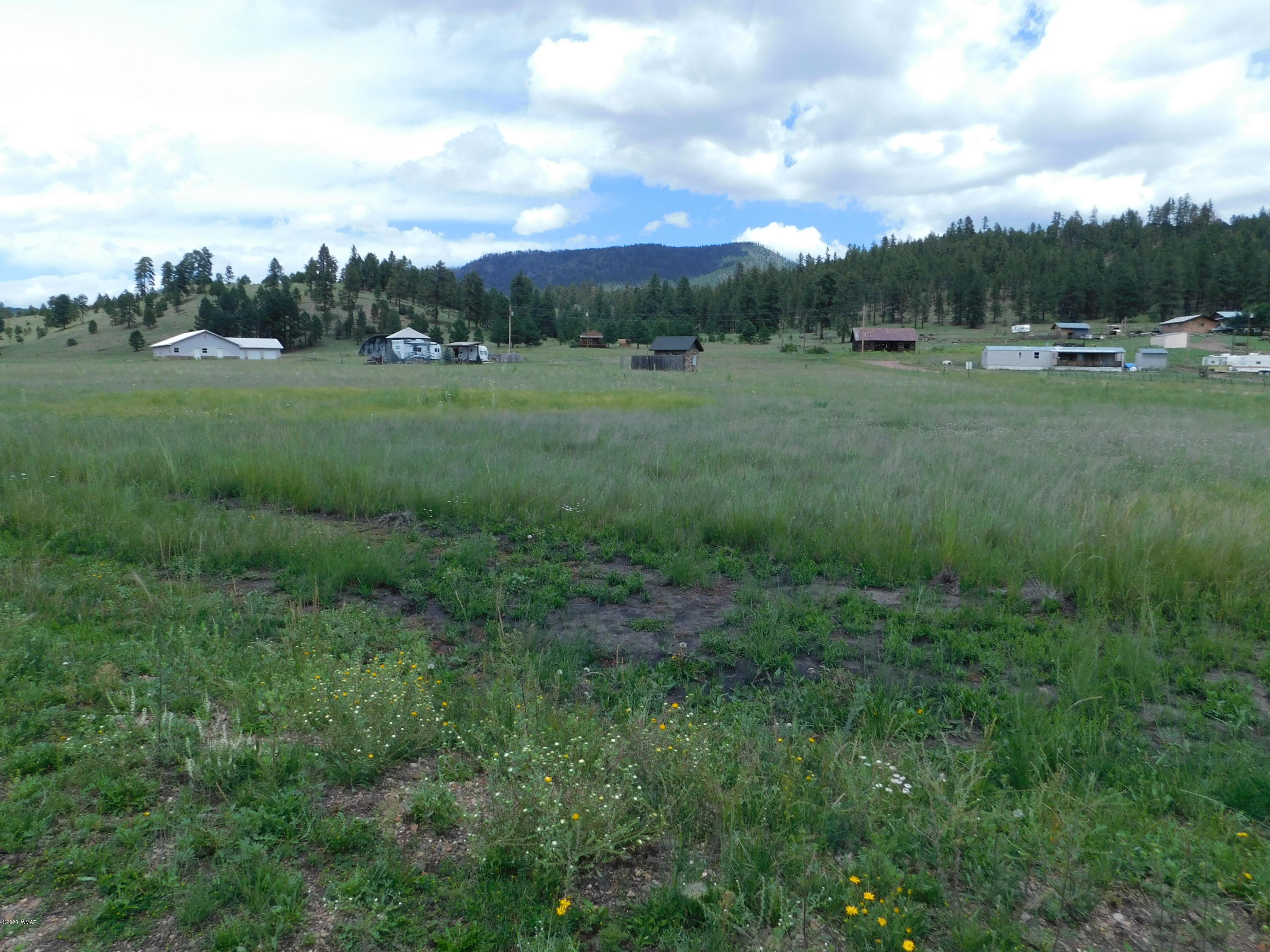Tbd Tbd Cr, Unit 2105 Alpine, AZ 85920 - Photo 1 of 2