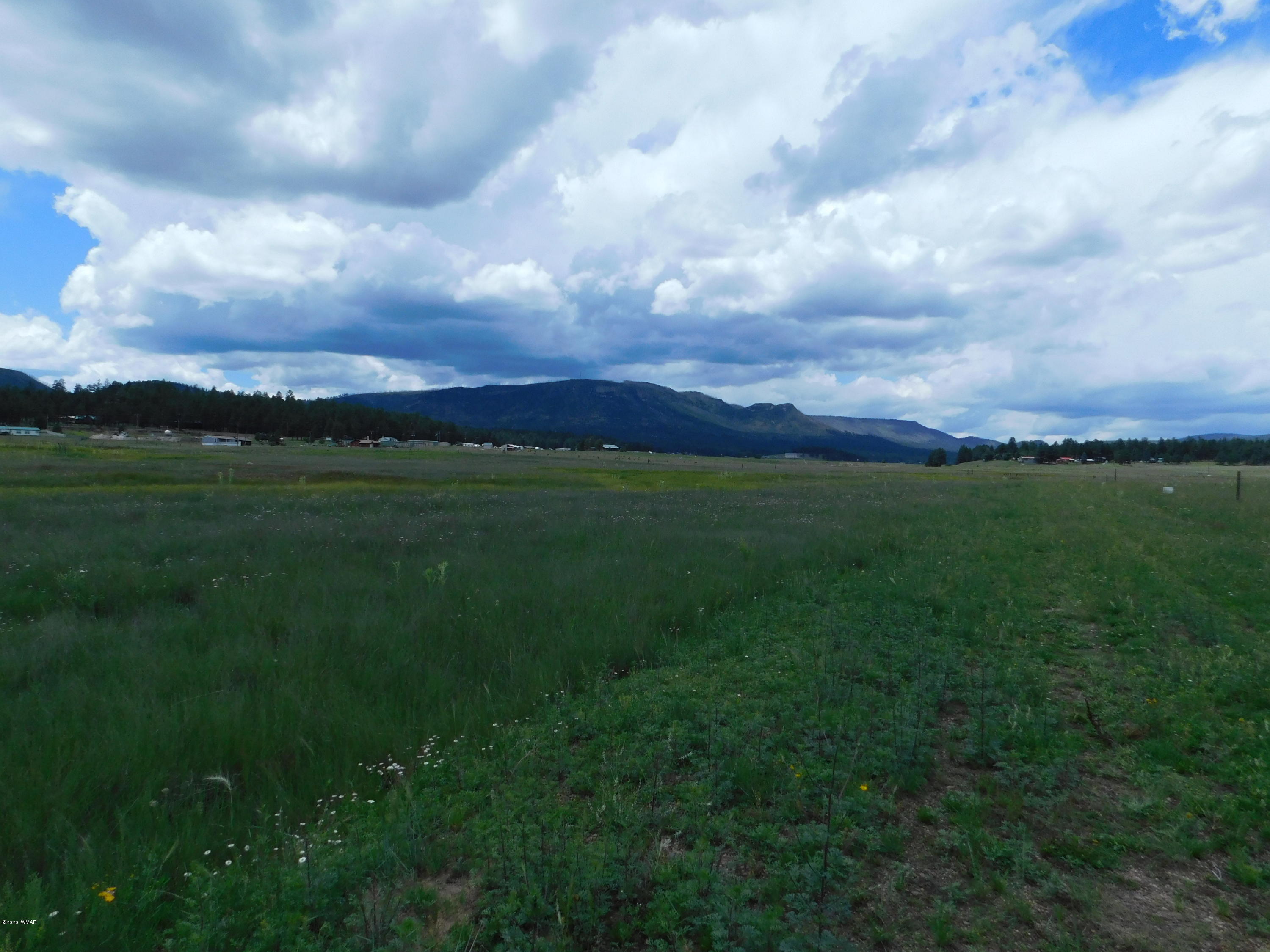 Tbd Tbd Cr, Unit 2105 Alpine, AZ 85920 - Photo 2 of 2