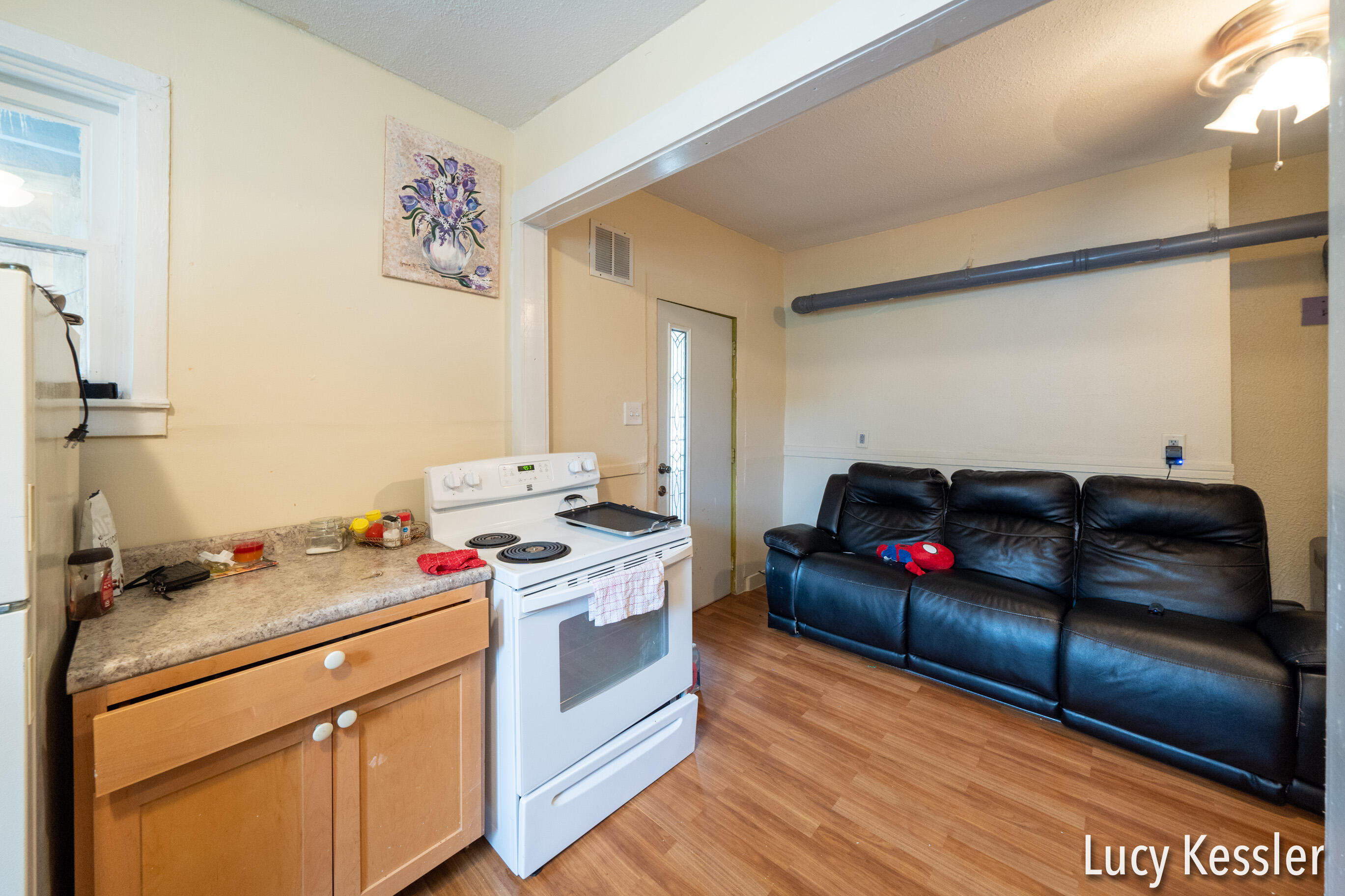 Undisclosed Address Grand Rapids, MI 49504 - Photo 19 of 54 55 Straight Ave SW , Grand Rapids, MI 49