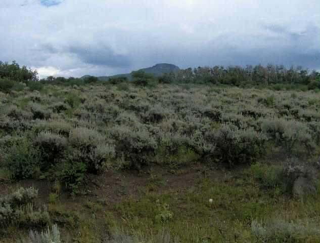 a view of a field of grass and trees