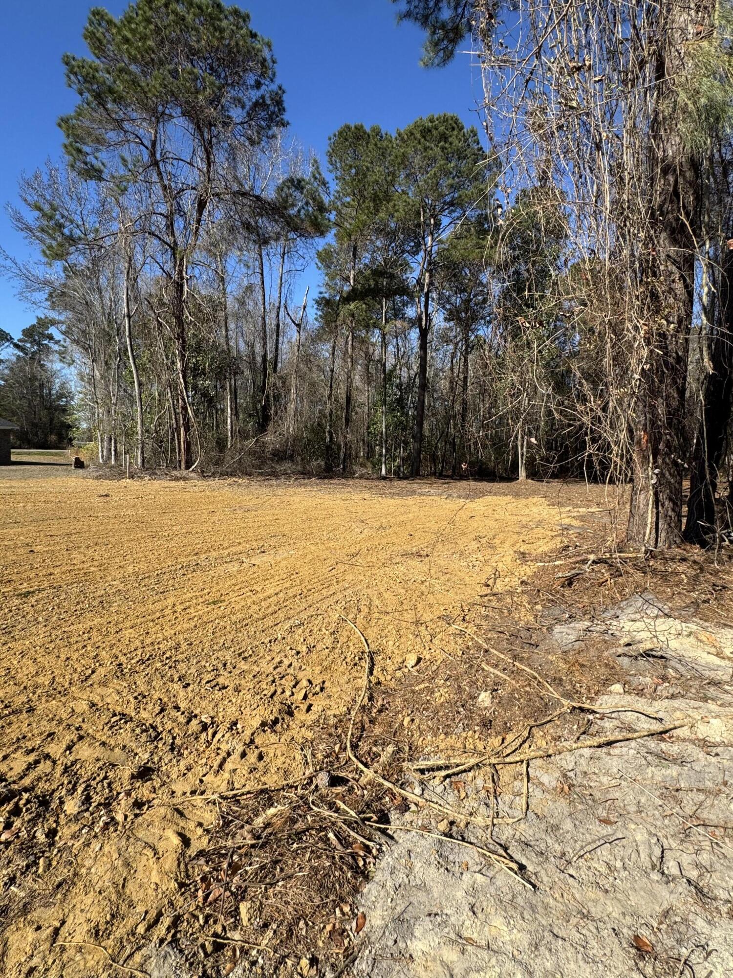 2147 Bloomville Road Manning, SC 29102 - Photo 45 of 46