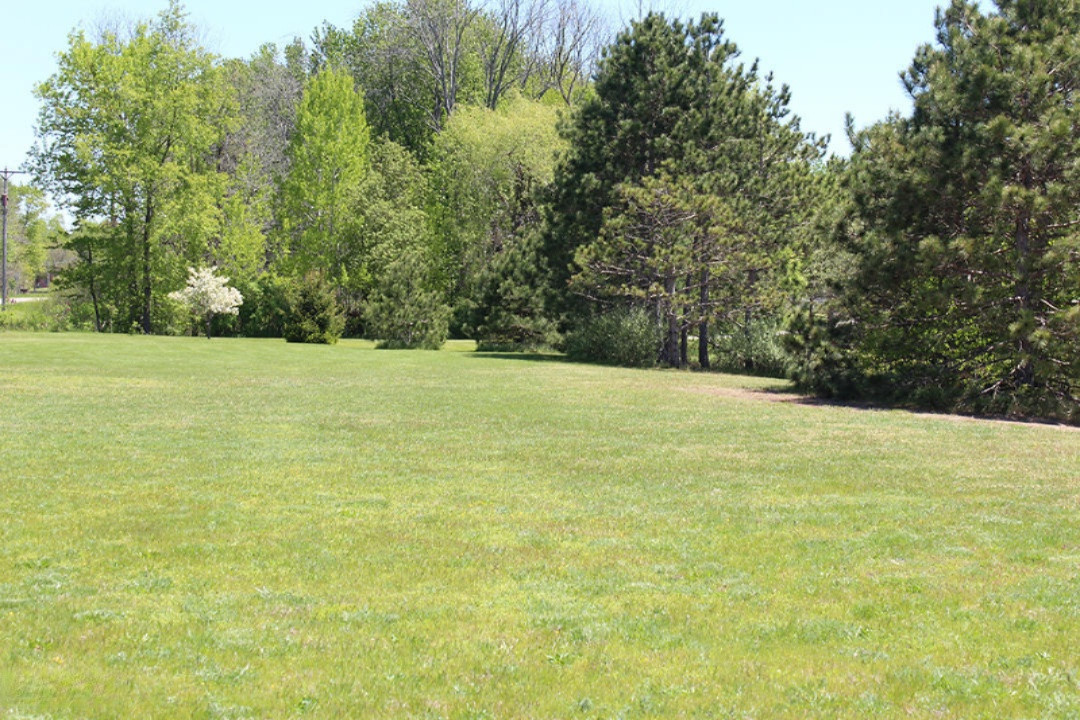 8100 West 1 Mile Road Hesperia, MI 49421 - Photo 24 of 37 IMG_2480