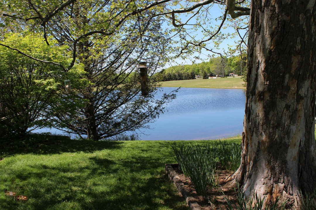8100 West 1 Mile Road Hesperia, MI 49421 - Photo 25 of 37 IMG_2482