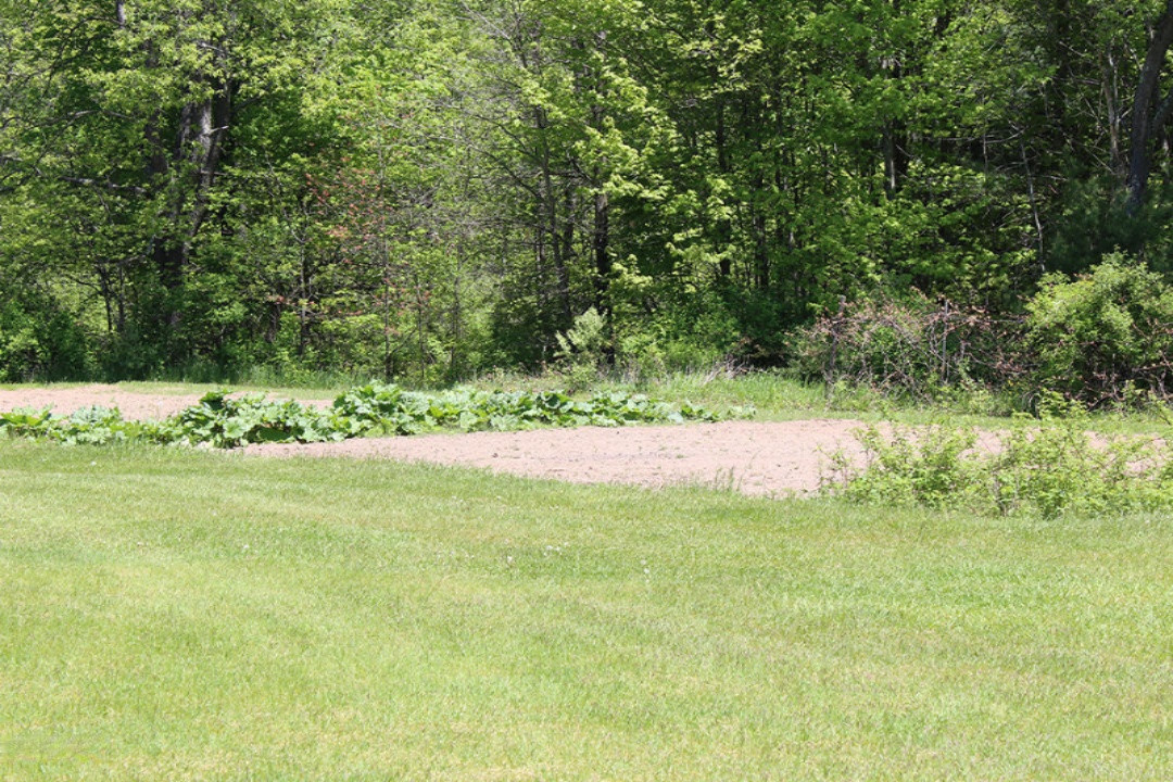 8100 West 1 Mile Road Hesperia, MI 49421 - Photo 29 of 37 IMG_2487