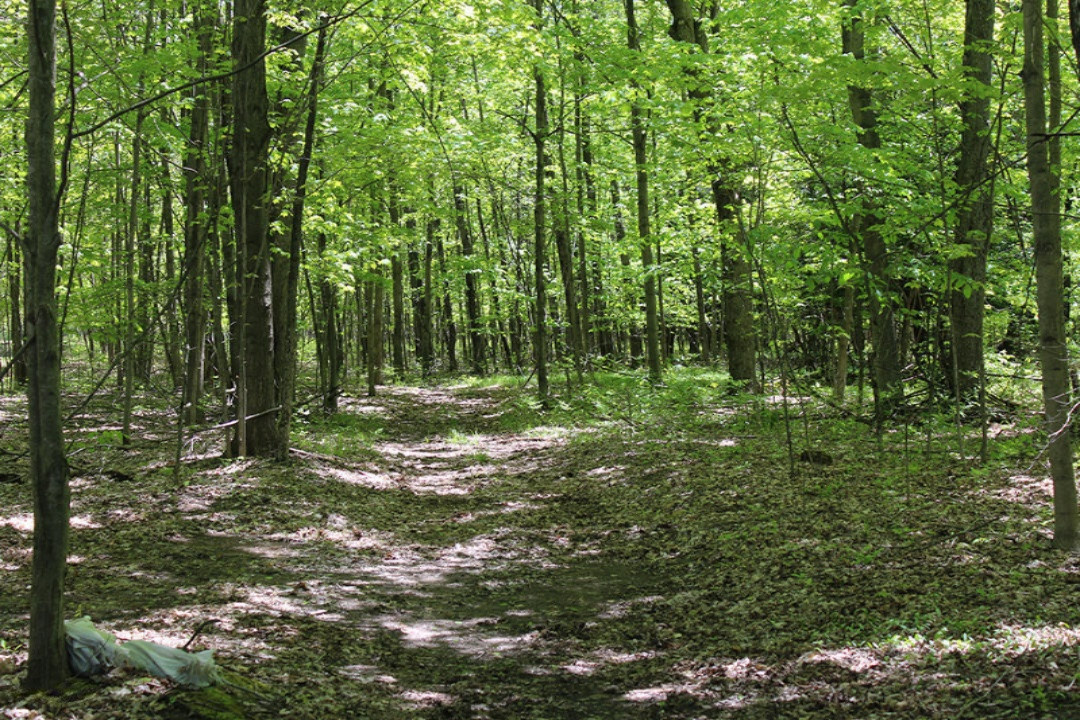 8100 West 1 Mile Road Hesperia, MI 49421 - Photo 31 of 37 IMG_2489