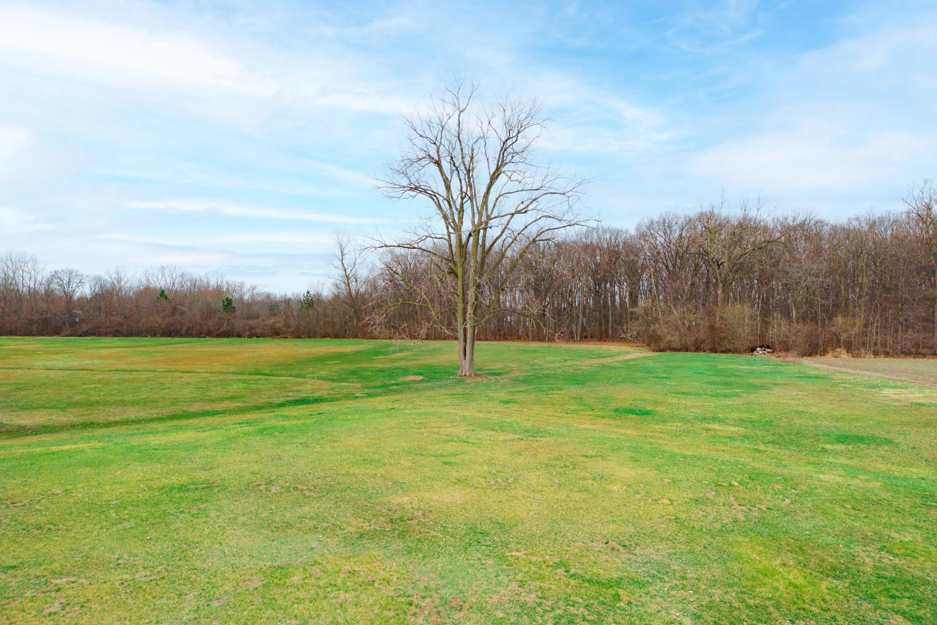 12215 Crossman Road Carleton, MI 48117 - Photo 38 of 41 12215 Crossman Rd, Carleton (38 of 41)