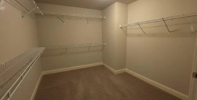 a bathroom with a shower and toilet