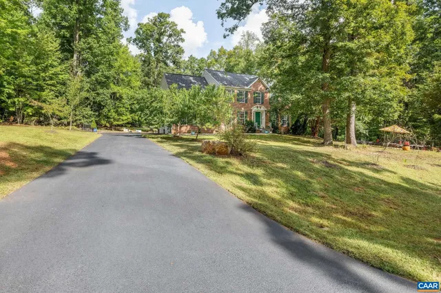a view of a yard with plants and trees