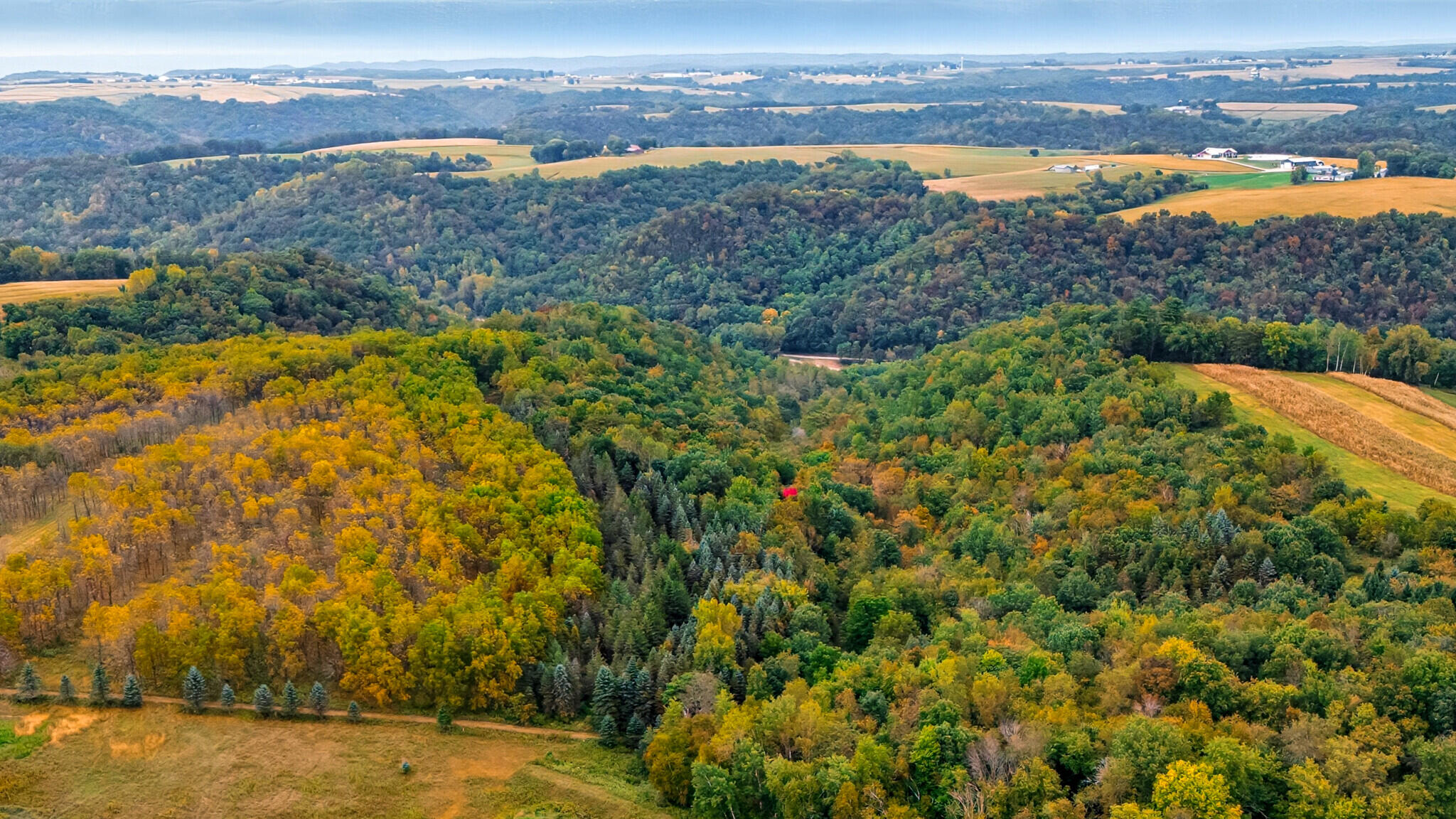 0 Niesen Road Coon Valley, WI 54623 - Photo 1 of 1 62_DJI_20250919062856_0339_D (1)_mls