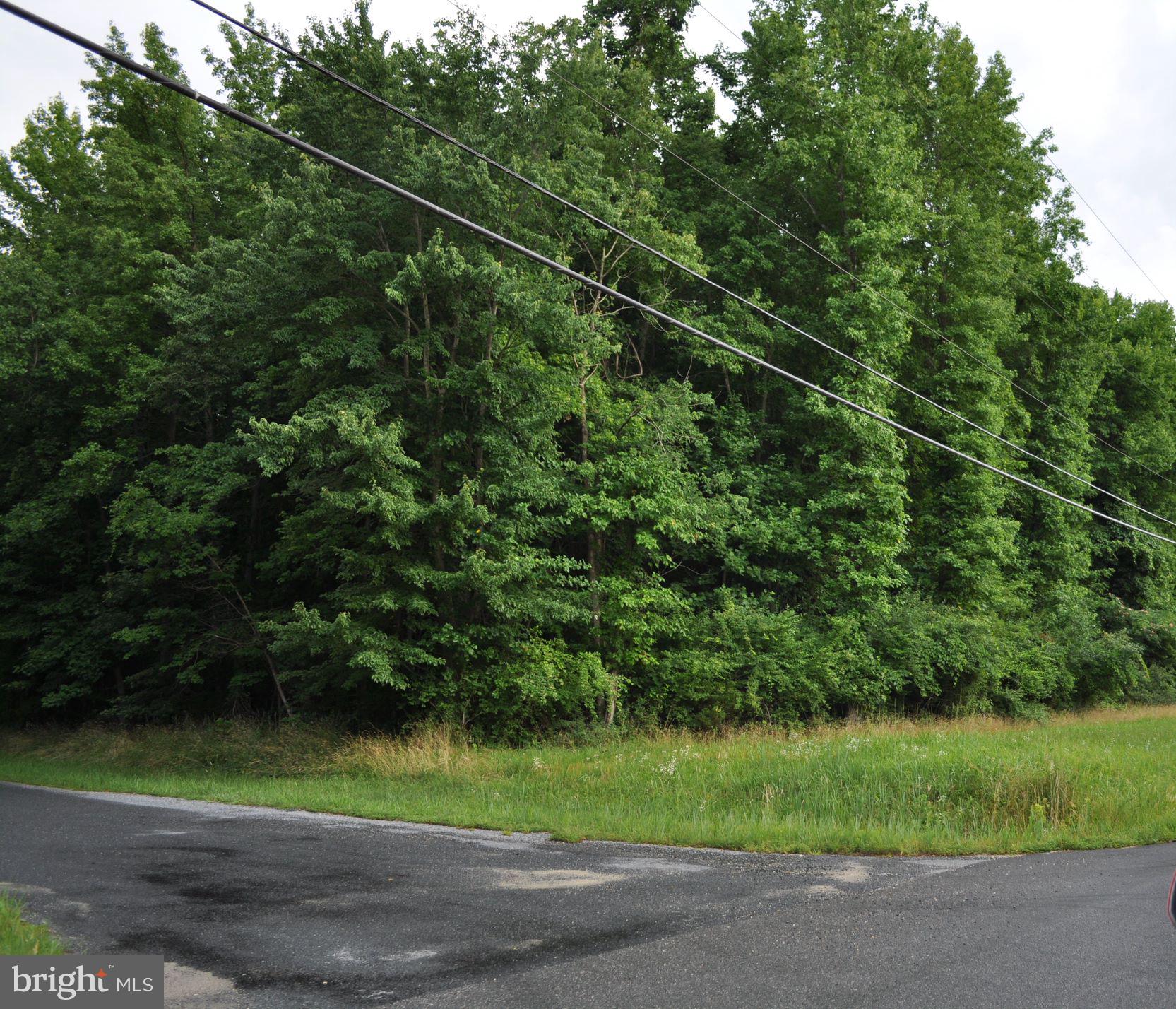Marina Road Chestertown, MD 21620 - Photo 2 of 8 This is the corner