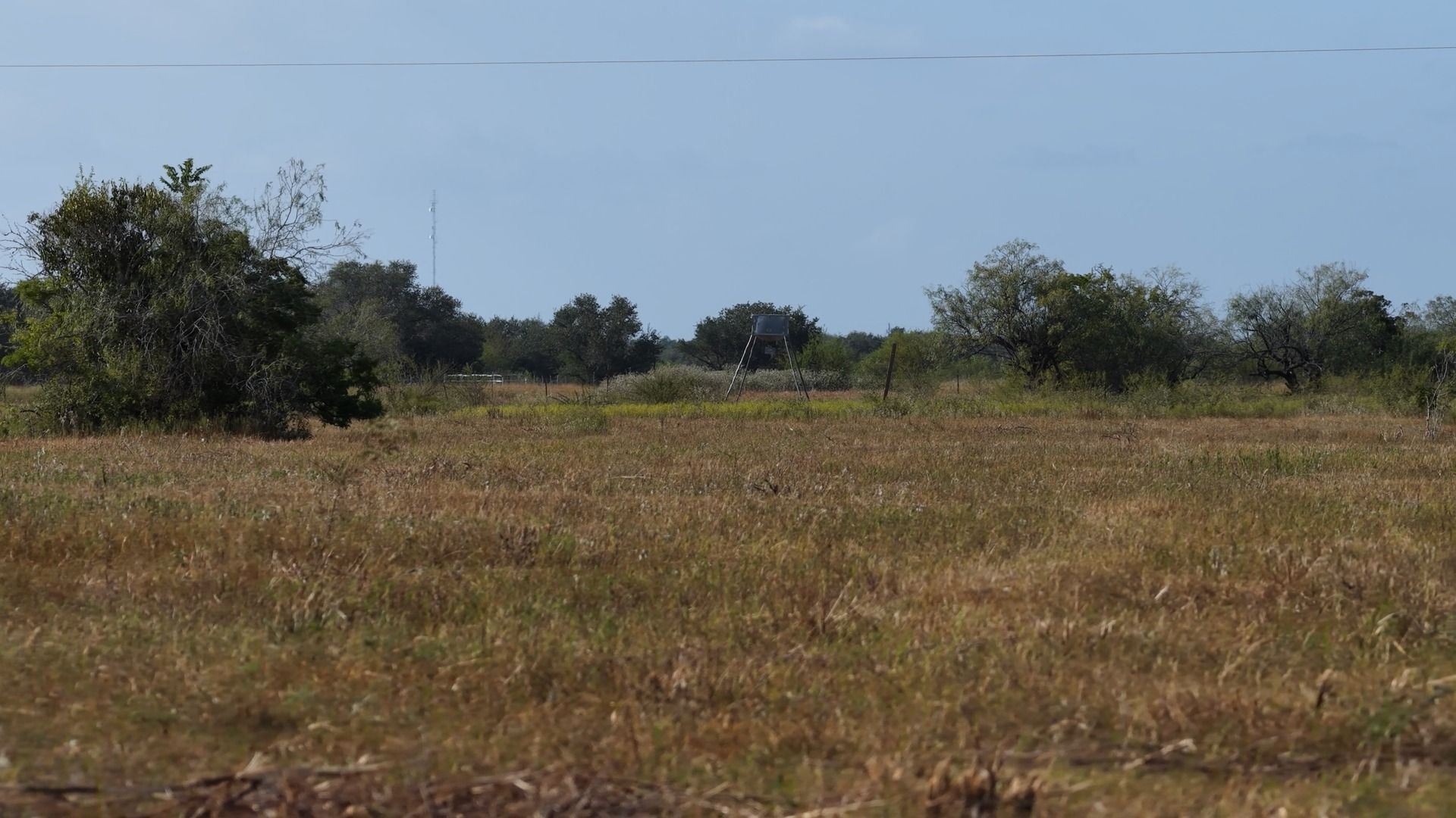 251 Old Goliad Road Refugio, TX 78377 - Photo 4 of 40 Mature trees and native grasses define this sprawling pastoral landscape under wide open skies.
