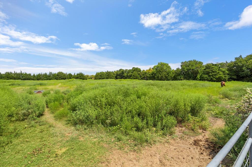 1578 Stainback Road Red Oak, TX 75154 - Photo 23 of 37 a view of a big yard with green space