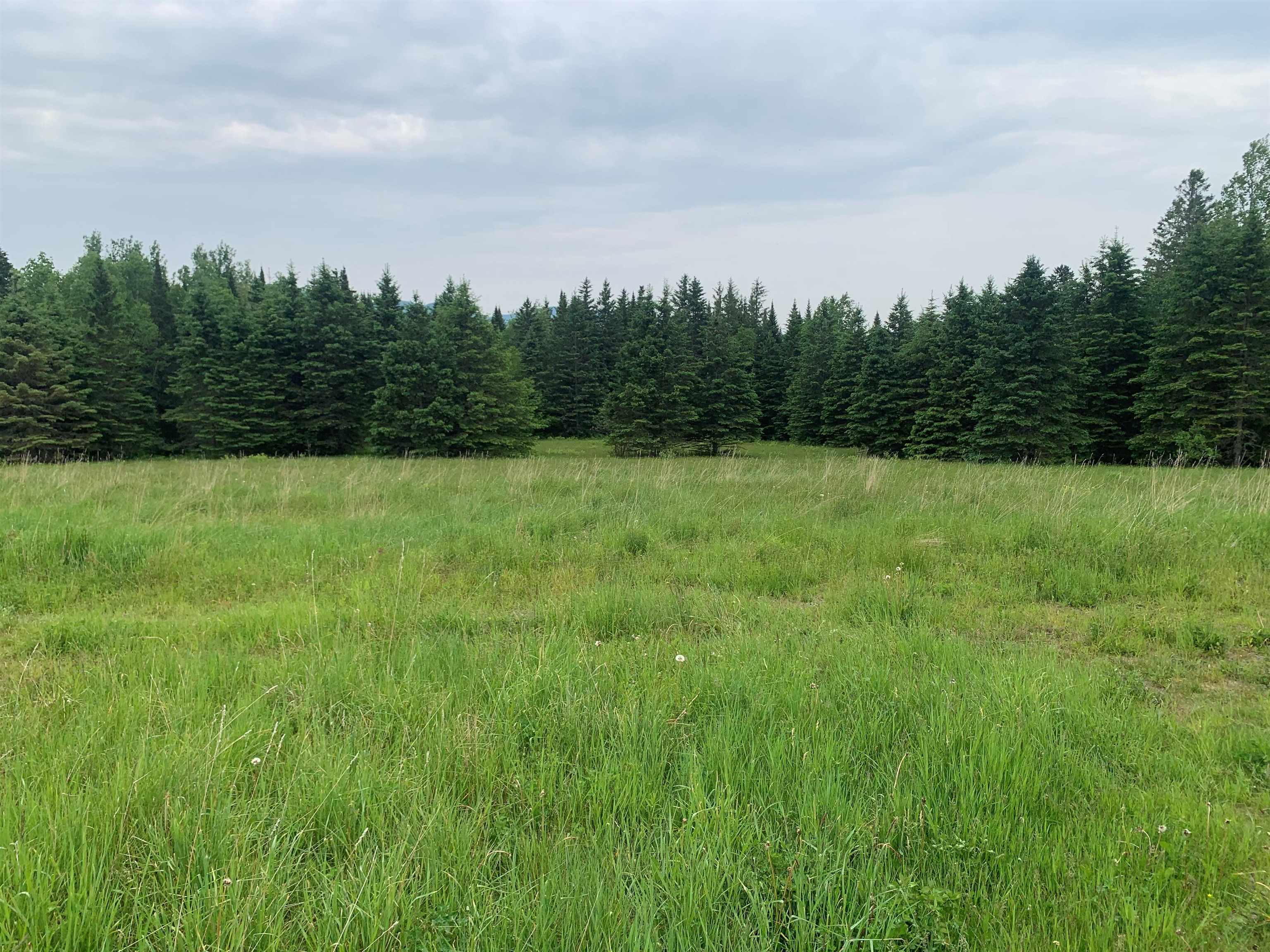 308 Diamond Pond Road Colebrook, NH 03576 - Photo 3 of 12