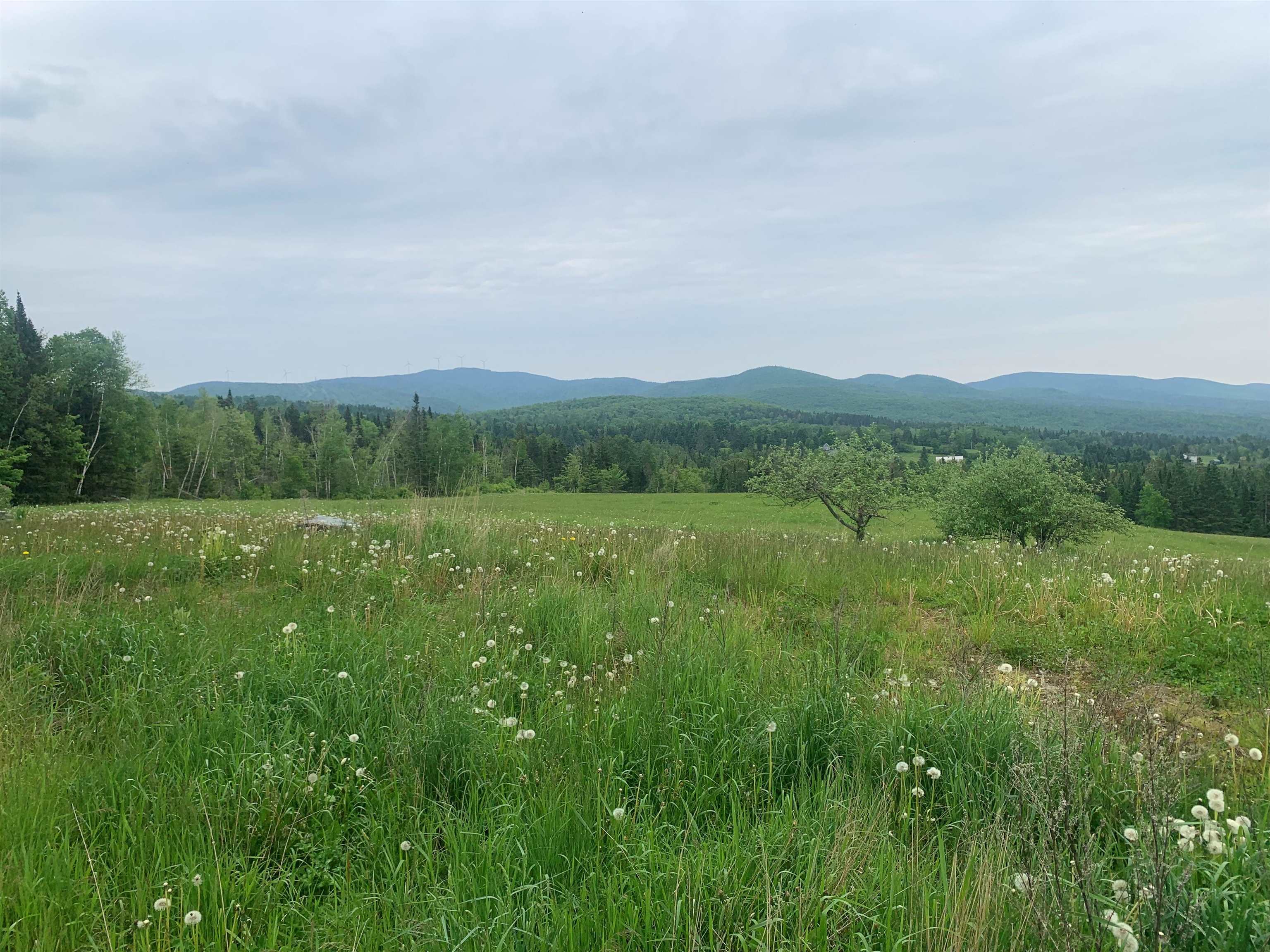 308 Diamond Pond Road Colebrook, NH 03576 - Photo 9 of 12