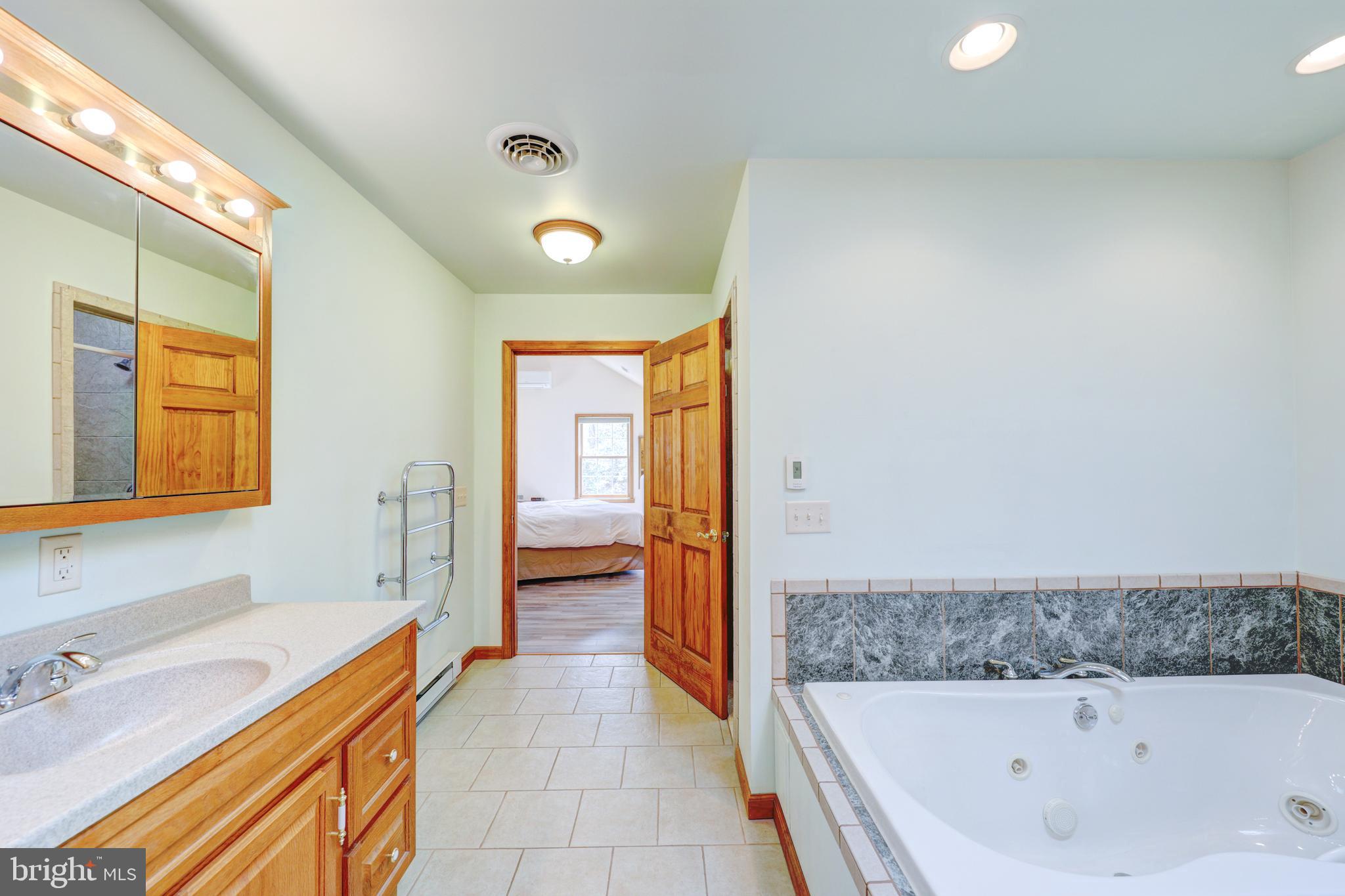 22371 Deep Branch Road Georgetown, DE 19947 - Photo 45 of 78 Jetted tub