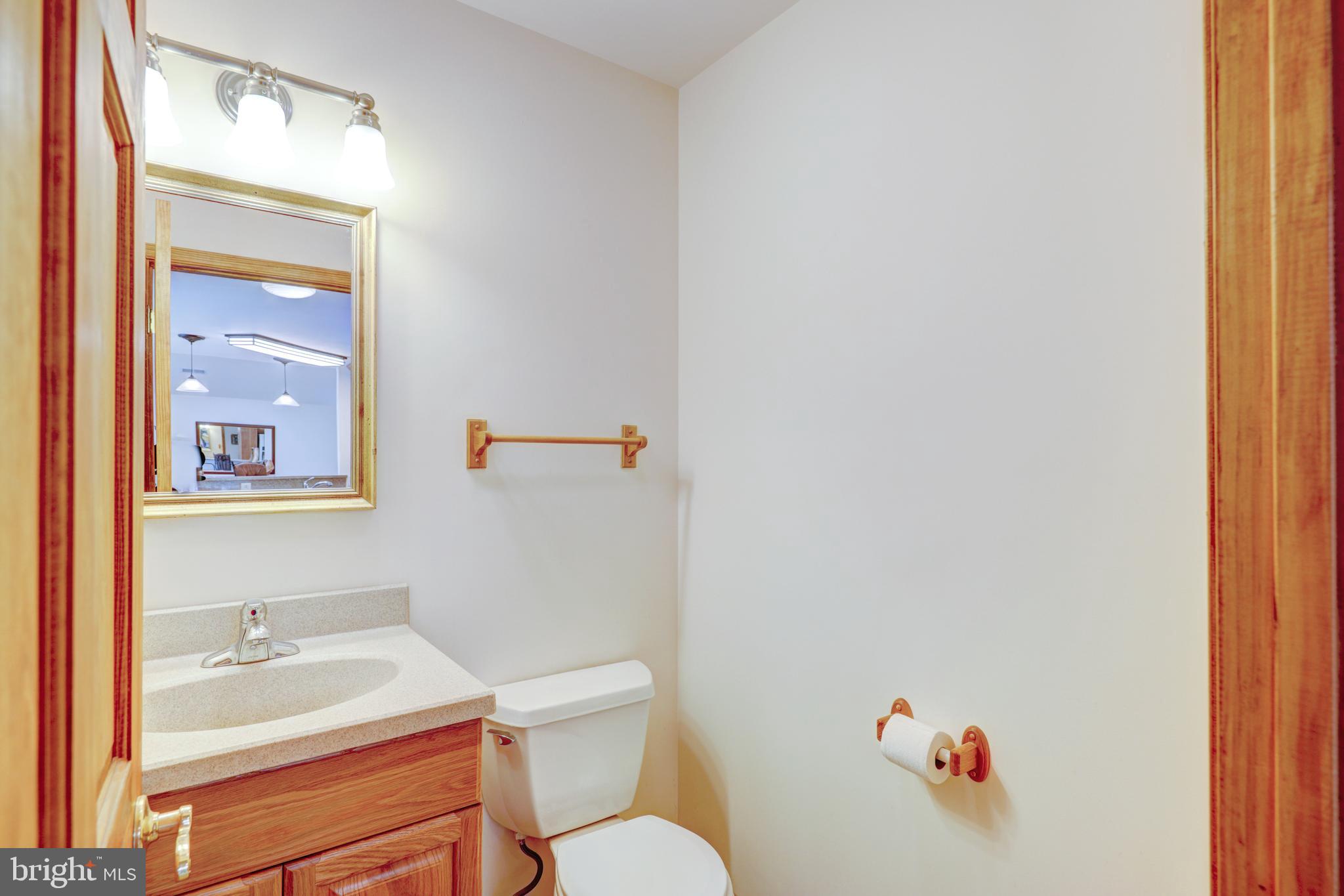 22371 Deep Branch Road Georgetown, DE 19947 - Photo 65 of 78 Powder room
