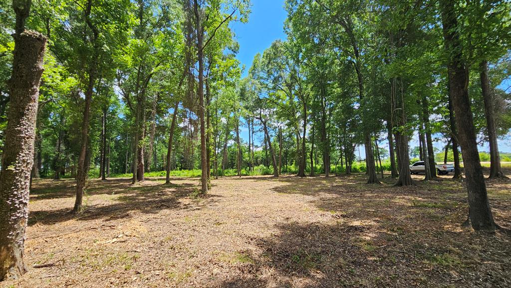 92 County Road 92 Slocomb, AL 36375 - Photo 41 of 58