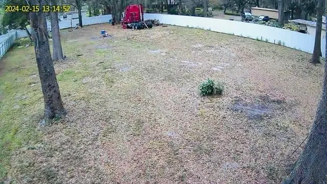 a view of a backyard with large tree