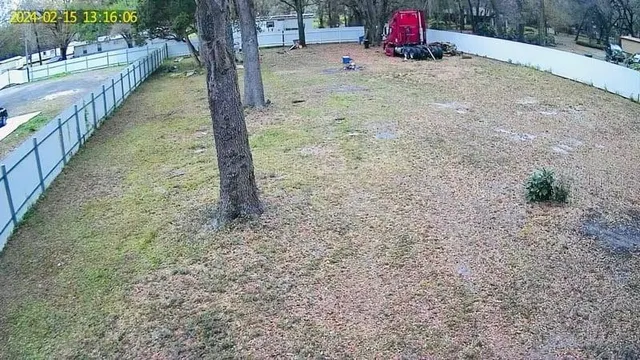 a road view with tall trees