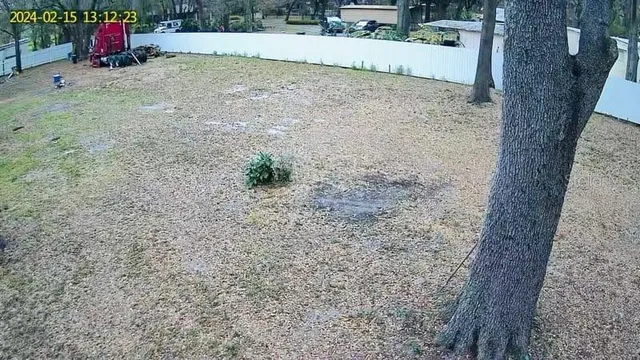a view of backyard with wooden fence