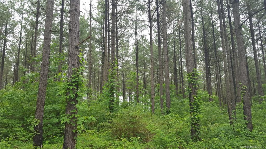 9597 Foil Road Mount Pleasant, NC 28124 - Photo 3 of 4 Gallery Image 3