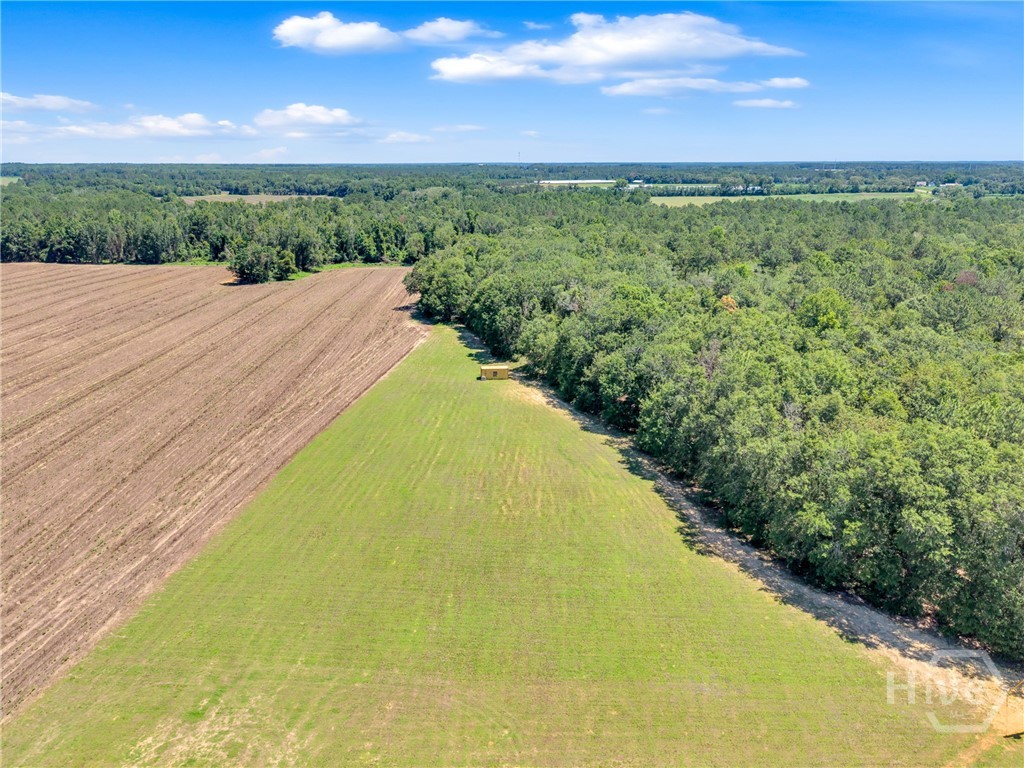 2997 Jason Franklin Road Register, GA 30452 - Photo 49 of 61