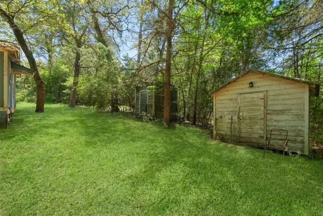 a view of a forest with a street