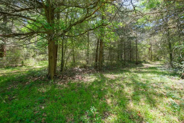 a backyard of a house with plants and wooden fence