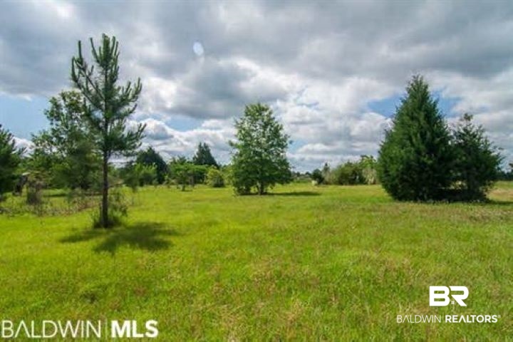26861 Rabbit Run Road Robertsdale, AL 36567 - Photo 4 of 13