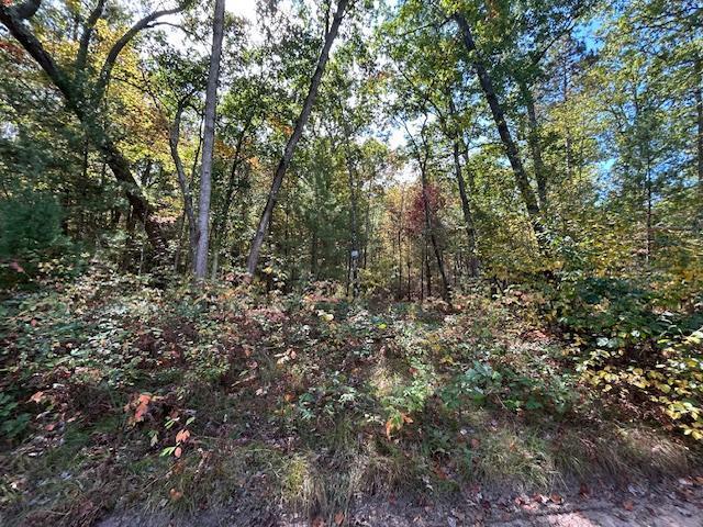 V/l West Meinert Road Montague, MI 49437 - Photo 2 of 3 1000000058