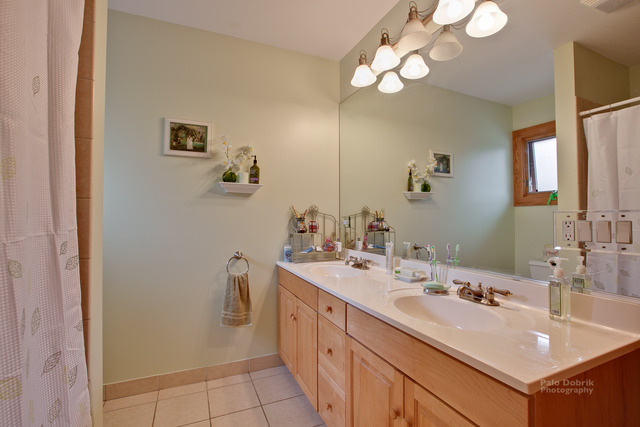 132 South Merrill Street Park Ridge, IL 60068 - Photo 17 of 25