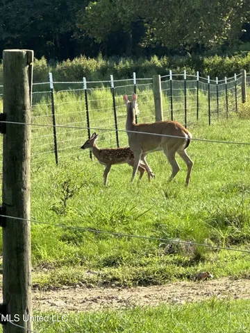 $1,359,000 | 1020 Jack Johnson Road, Crystal Springs, MS 39059