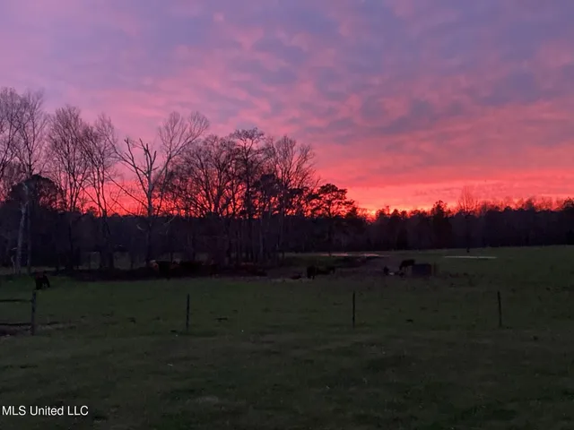 $1,359,000 | 1020 Jack Johnson Road, Crystal Springs, MS 39059