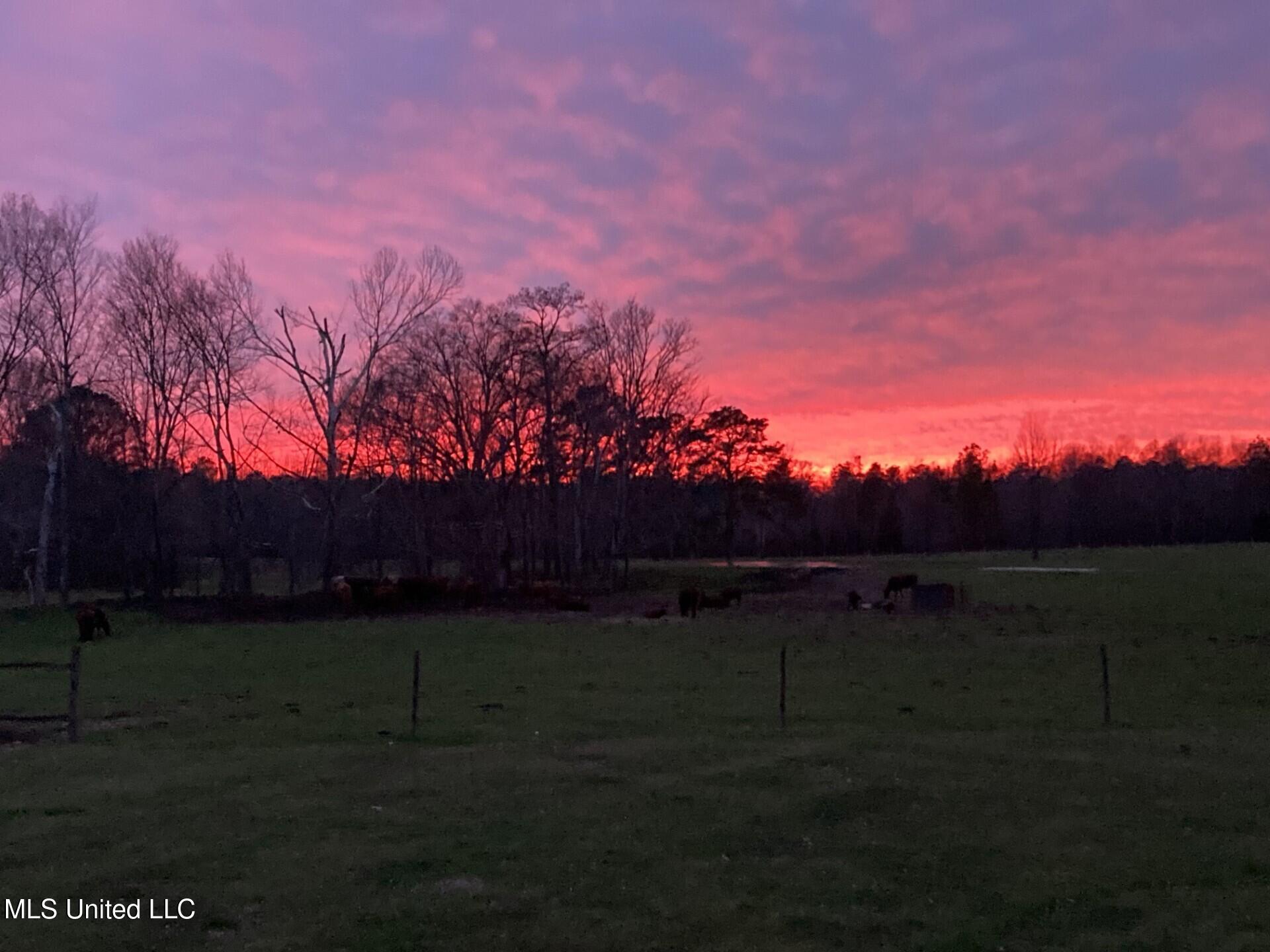 1020 Jack Johnson Road Crystal Springs, MS 39059 - Photo 122 of 125 thumbnail_4EDD64A1-01C3-453A-9EC6-DA7B91