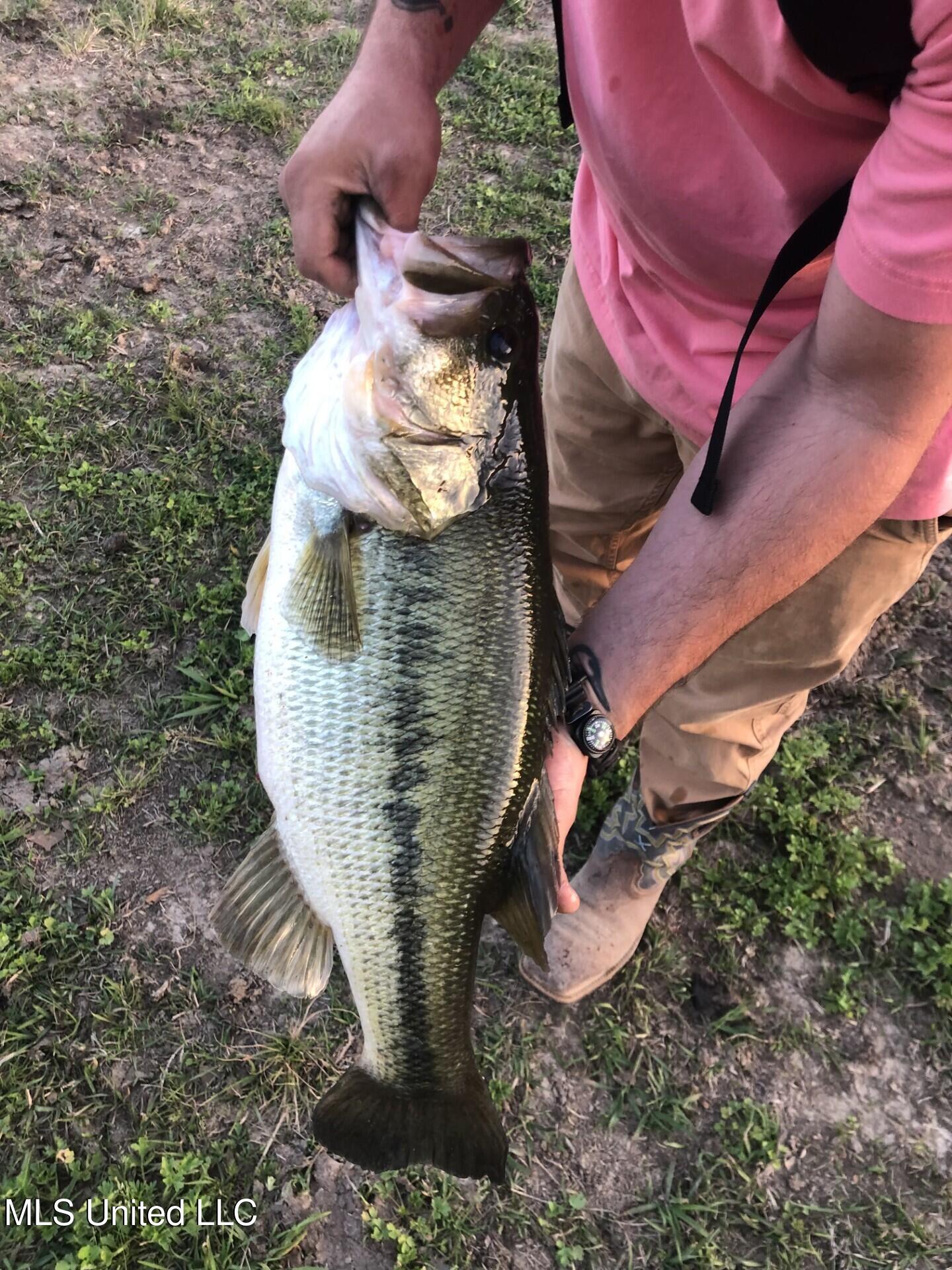1020 Jack Johnson Road Crystal Springs, MS 39059 - Photo 123 of 125 thumbnail_IMG_9967