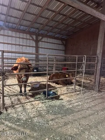 $1,359,000 | 1020 Jack Johnson Road, Crystal Springs, MS 39059