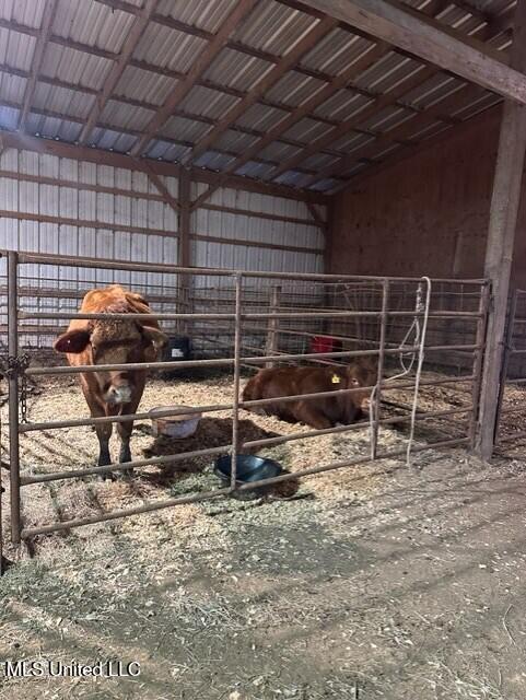 1020 Jack Johnson Road Crystal Springs, MS 39059 - Photo 28 of 125 thumbnail_IMG_8198