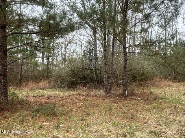 $1,359,000 | 1020 Jack Johnson Road, Crystal Springs, MS 39059