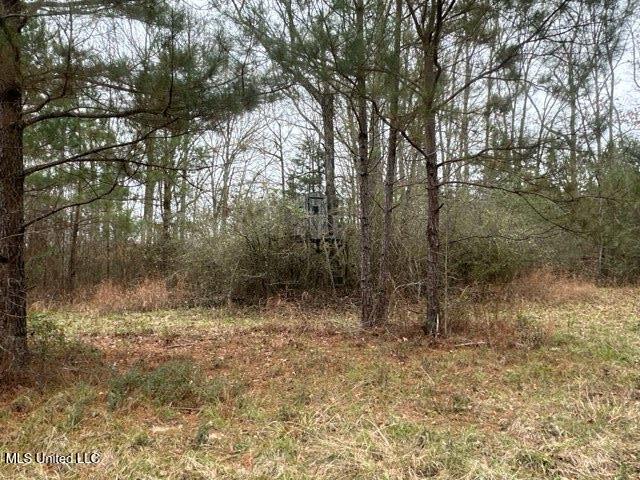 1020 Jack Johnson Road Crystal Springs, MS 39059 - Photo 41 of 125 IMG_9648