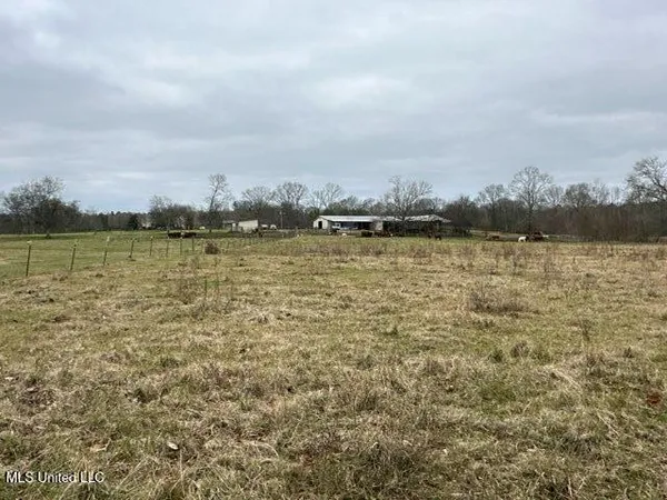 $1,359,000 | 1020 Jack Johnson Road, Crystal Springs, MS 39059