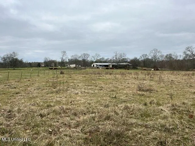 $1,359,000 | 1020 Jack Johnson Road, Crystal Springs, MS 39059