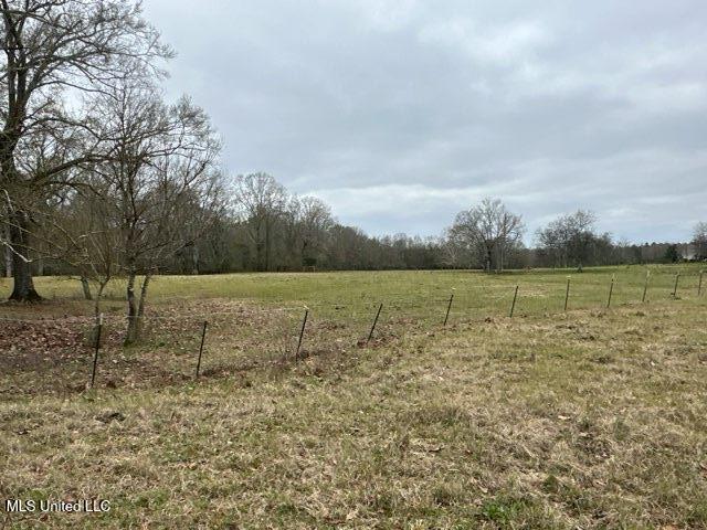 1020 Jack Johnson Road Crystal Springs, MS 39059 - Photo 44 of 125 thumbnail_IMG_9643