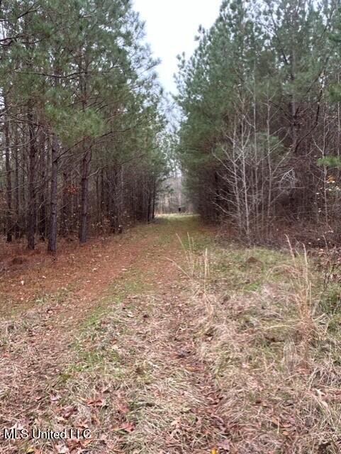 1020 Jack Johnson Road Crystal Springs, MS 39059 - Photo 45 of 125 thumbnail_IMG_9650